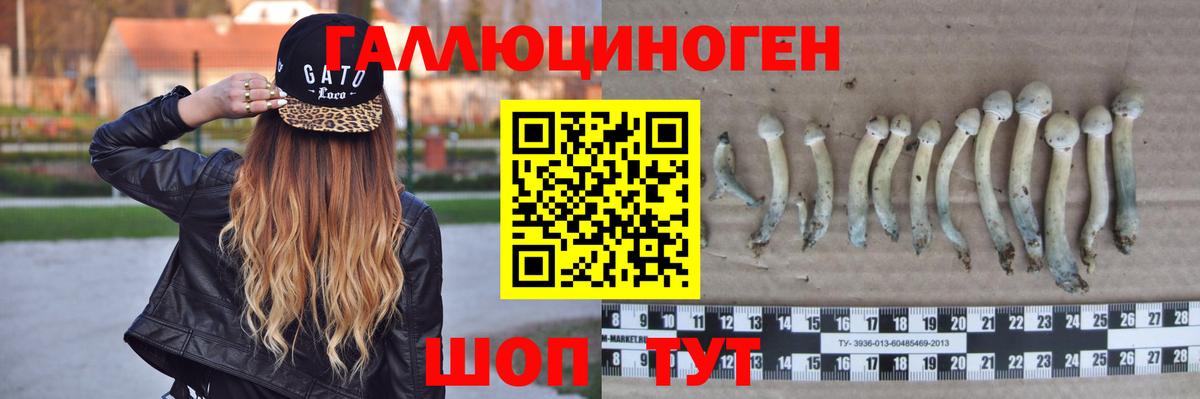 Псилоцибиновые грибы ЛСД Среднеуральск